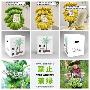 禁止蕉绿可水培芭蕉2-4串约7.5-9斤9-11斤新鲜采摘福建苹果蕉带枝