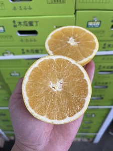 新货福佳园木瓜蜜丁橙原箱礼盒6斤当季新鲜水果香甜嫩多汁