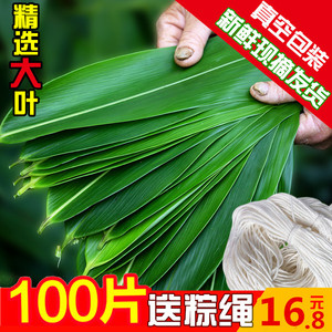 端午节粽叶家用商用包粽子叶用品新鲜粽叶真空包装保鲜棕叶天然叶
