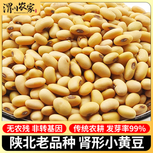农家自种黄豆非转基因肾形小黄豆老品种大豆打豆浆生豆芽专用5斤