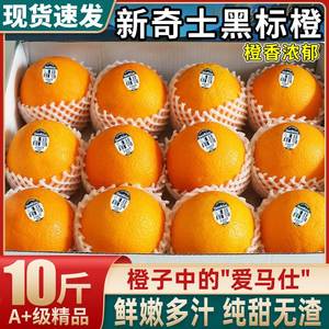 正宗黑标新奇士橙10斤新鲜橙子5当季孕妇水果进口品种大果整箱310