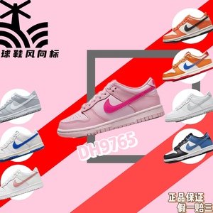 Nike耐克 Dunk Low低帮运动潮流休闲板鞋GS 女子大童系列DH9765