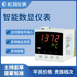 虹润智能数显仪表温度控制仪器压力液位电流电压表报警温控表E100