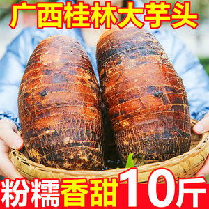 正宗广西桂林粉糯大芋头新鲜10斤大香芋当季蔬菜毛芋头芋艿整箱