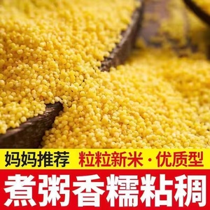 小米散装农家新货黄小米小黄米月子米杂粮多规格可选择
