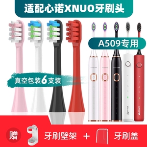 适配美国心诺xnuo电动牙刷头A509/AX08/YS01通用替换头清洁3541