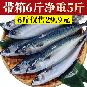 青占鱼鲐鱼鲐鲅鱼整条冷冻野生青花鱼新鲜食用深海海鱼海鲜水产