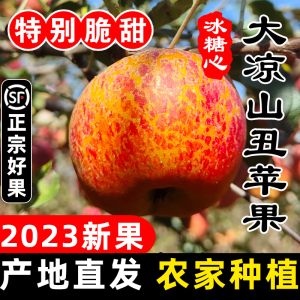 正宗大凉山冰糖心丑苹果盐源新鲜10斤直销野生红富士水果当季整箱