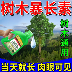 苗木速长增粗剂树木杨树桉树松树绿化树果树生长素猛长专用营养剂