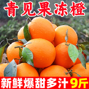 正宗四川青见果冻橙新鲜橙子水果冰糖心应当季甜橙子柑橘整箱包邮