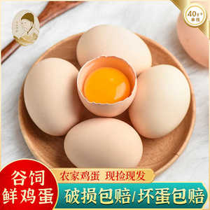 农家散养土鸡蛋林下笨鸡蛋新鲜柴鸡蛋月子鸡蛋五谷喂养早餐鸡蛋