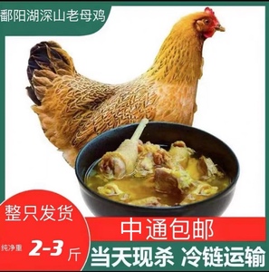 五一活动现杀江西散养土鸡粮食700天黄油老母鸡一只送货上门