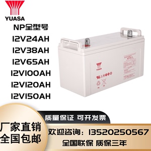 汤浅YUASA免维护蓄电池NP12v38/65/100/200AH机房直流屏UPS专用