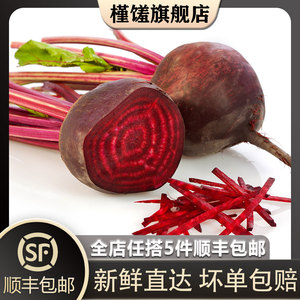 【槿馐】甜菜头500g 甜根菜 新鲜紫菜头红菜头大头菜西餐摆盘