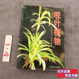 正版图书观叶植物 谢彩云编着/中原农民出版社/2002