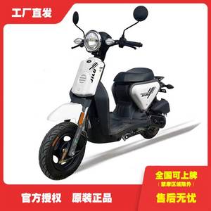 王野吉鹿50CC电喷踏板摩托车WY50QT-11E铃鹿同款燃油助力外卖车