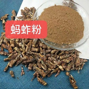 纯蚂蚱粉 蚕蛹粉 五谷虫粉 蚱蜢粉蝗虫粉画眉鸟食超细现磨粉包邮