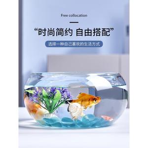 养虾专用缸艺术小鱼缸养虾专用箱精致小鱼缸造景加厚透明玻璃鱼缸