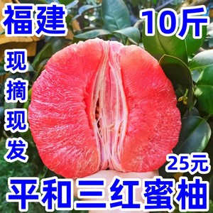 三红蜜柚福建平和红心柚子琯溪蜜柚新鲜水果漳州管官溪柚包邮10斤