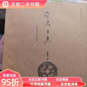 正版实拍：飞鸟与鱼:银饰里的流年 胡建君 上海锦绣文章出版社978