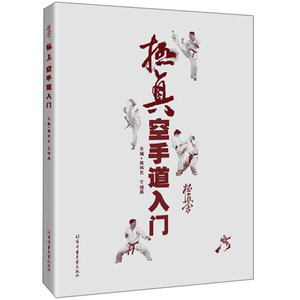 正版九成新图书|极真空手道入门黄伟东 王晓磊北京体育大学