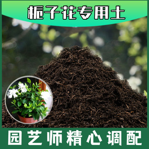 栀子花专用土腐殖土种花养花盆栽土栀子花营养土肥料种植有机土壤