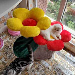 新品现货凯瑞彩色花朵猫爬架猫玩具猫跳台猫抓柱 向日葵爬架猫猫