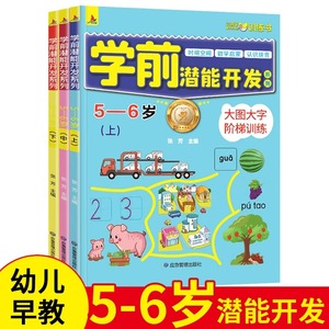 正版原著全套3册学前潜能开发游戏书56岁儿童智力开发动脑专注力