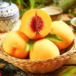 黄金蜜一号黄桃新鲜水果蜜桃5斤装桃子当季时令软硬爆甜脆黄毛桃