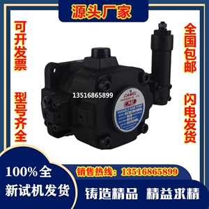 全新台湾CML全懋液压油泵VCM-DF-30C-30C双联泵CML系列变量叶片泵