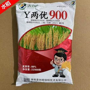 Y两优900  稻谷种子 杂交水稻   中稻 早稻 晚稻