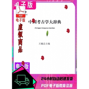 中国考古学大辞典 2014王巍著PDF电子版速发