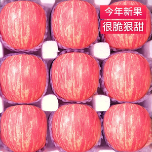 正宗陕西洛川苹果水果新鲜10斤当季整箱红富士脆甜大现摘现发包邮