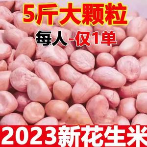 2024年新鲜花生米新货大颗粒白沙农家生花生米商用去散装壳花生仁