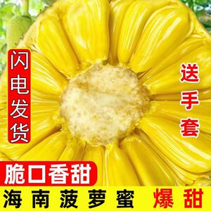 菠萝蜜红黄心整箱包邮当季红特产一整个老树三亚20-45斤干苞海南