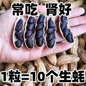 特价新花生带壳黑花生富硒生的黑花生正宗黑皮紫皮花生可当种子