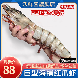 巨型大鬼虾鲜活速冻黑虎虾海鲜水产红爪虾超特大海捕虾船冻老虎虾