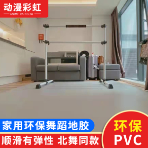 动漫彩虹舞蹈地胶垫教室专业防滑儿童街舞室内专用pvc家用芭蕾垫