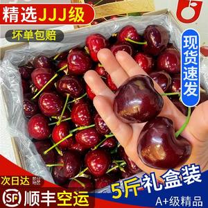 【现货中】3J智利车厘子新鲜水果 进口品种大樱桃5斤现货高端送礼