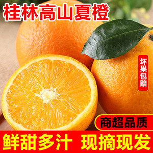 广西夏橙当季桂林鲜橙新鲜10斤时令孕妇水果现摘橙子非秭归伦晚