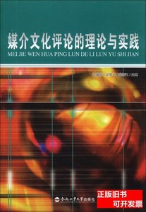 实拍图媒介文化评论的理论与实践 金梦玉主编；沈敏特/合肥工业大