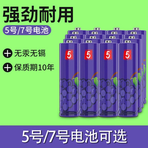 5号7号AA/AAA碱性电池鼠标电视空调玩具遥控器指纹锁电池话筒麦克风1.5水果电池彩虹热水器血压计燃气表键盘