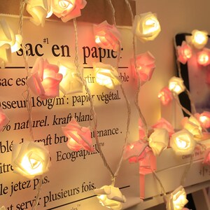 室内求婚表白布置创意用品浪漫房间灯带网红灯装饰真玫瑰彩灯
