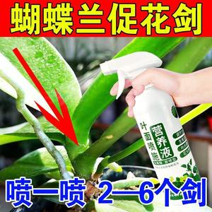 花草营养液通用蝴蝶兰营养液爆箭促开花烂根植物活力素过磷酸钙肥