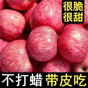 大凉山盐源苹果冰糖心苹果野生丑苹果新鲜水果非新疆苹果