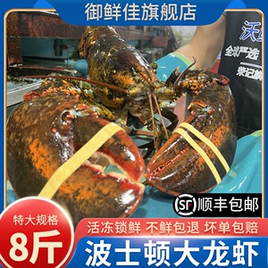 波士顿龙虾鲜活冷冻10斤大龙虾海鲜水产特大波龙澳洲澳龙青龙虾
