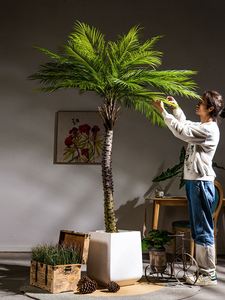 大型椰子树新超仿真绿植针葵散尾葵热带雨林仿生假树植物造景盆栽
