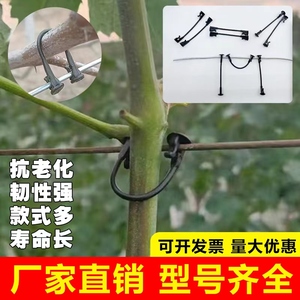 葡萄猕猴桃绑枝卡扣蓝莓葡萄树苗枝条固定卡子塑料挂钩绑蔓绑枝卡