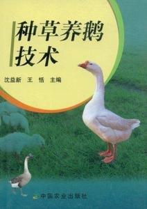 种草养鹅技术 沈益新 王恬主编 中国农业出版社