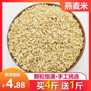 燕麦米500g 全胚芽燕麦米仁五谷杂粮粗粮新货农家燕麦仁